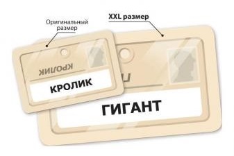 Настольная игра Кодовые имена XXL Настольная игра Кодовые имена XXL
